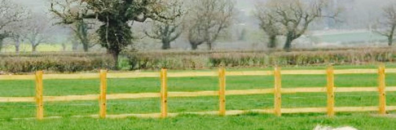 The Rowdey Cow Cafe and Ice Cream Parlour