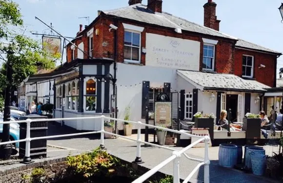 Lillies of Stockbridge