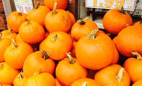 Porfido's Market & Deli