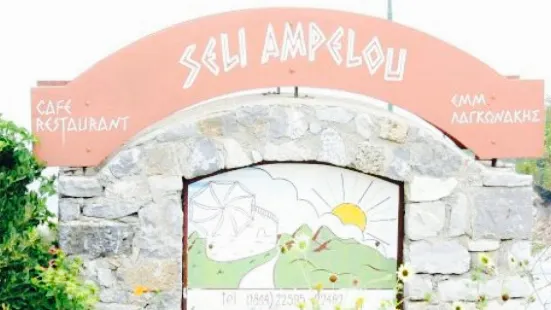 Seli Ampelou Restaurant