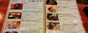 Soup Curry Okushiba Shoten Okushibachan