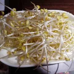 Shu Cheng Xiang Zi Lao Cheng Dou Hotpot User Photo