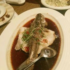 YUE 여행 사진