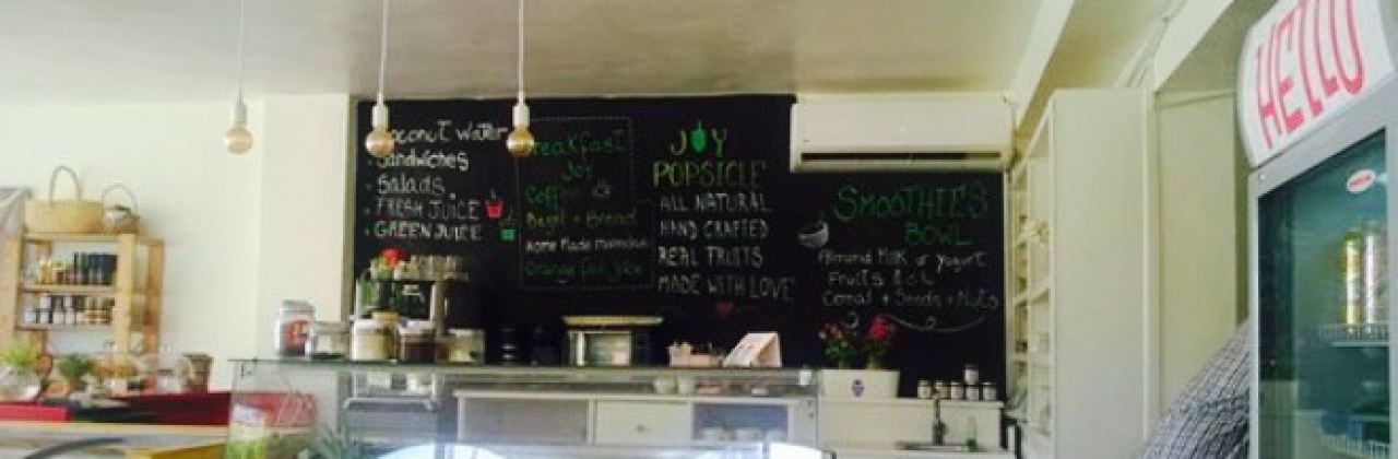 JOY Nutritional Popsicle