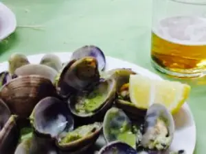 Cerveceria Domi