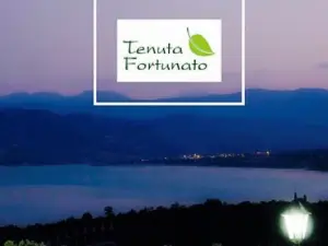 Tenuta Fortunato