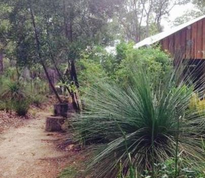 Goanna Cafe and Gallery