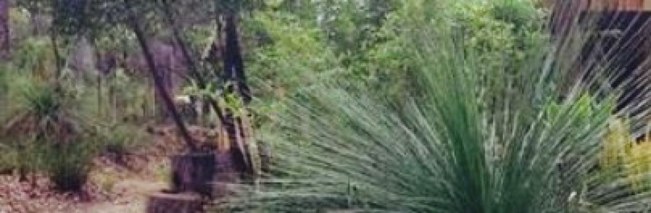 Goanna Cafe and Gallery