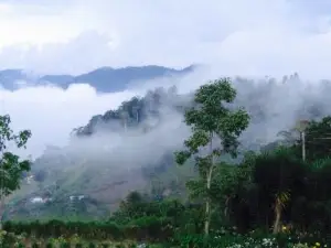 La Niebla Parque Restaurante