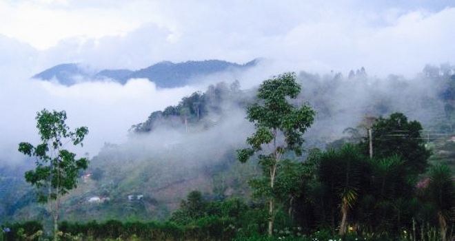 La Niebla Parque Restaurante