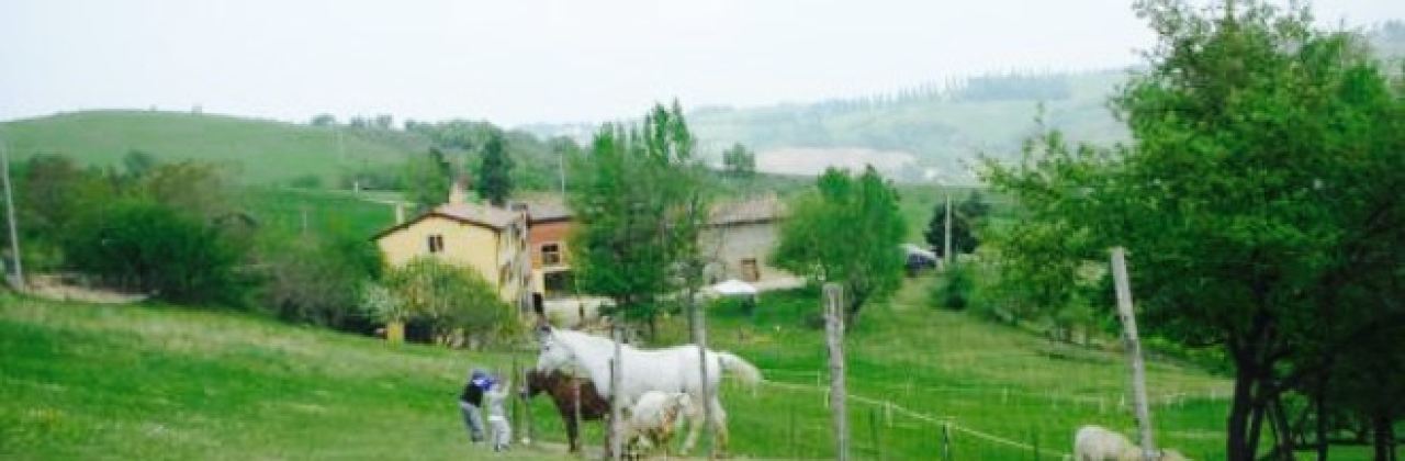 Ca del Buco Restaurant