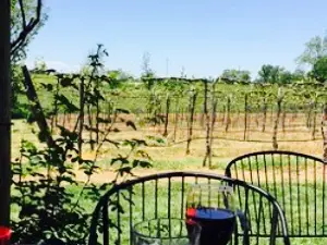 Red Fox Winery