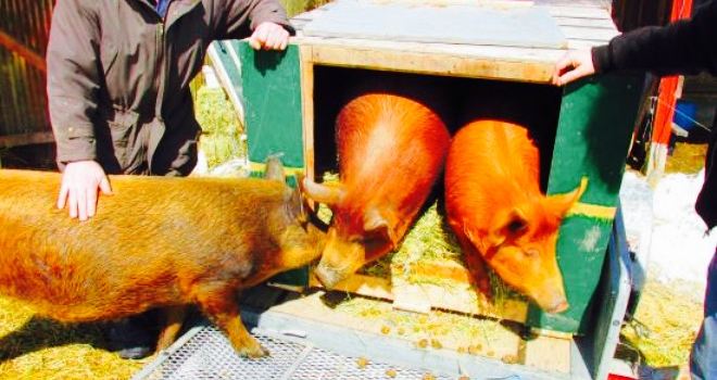 Au Cochon Rouge