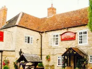 The Antelope Lighthorne