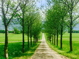 Agriturismo Cascina Dolomiti