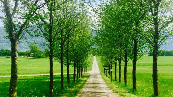 Agriturismo Cascina Dolomiti