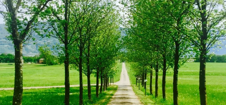 Agriturismo Cascina Dolomiti