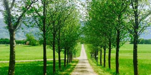 Agriturismo Cascina Dolomiti