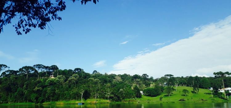 Coisa de Minas
