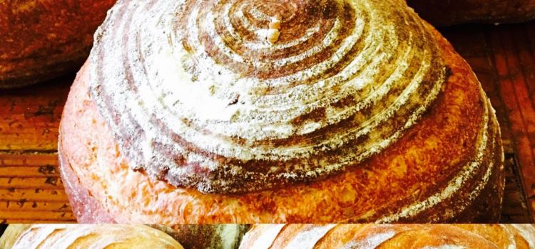 Kulina Lani Organic Sourdough Bread