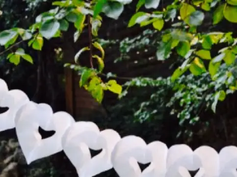 La Cigale Provencale