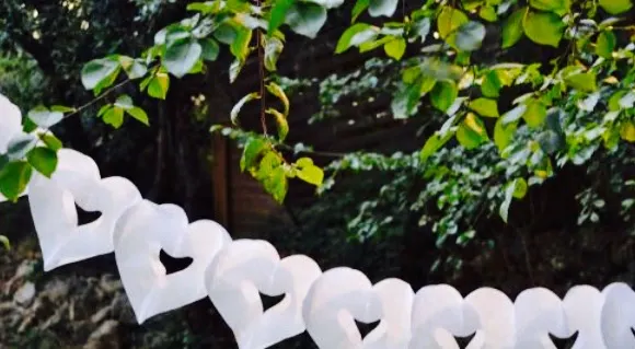 La Cigale Provencale