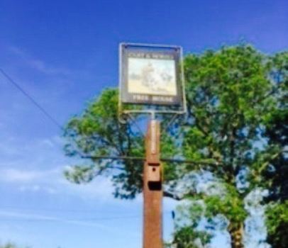 Cart and Horses