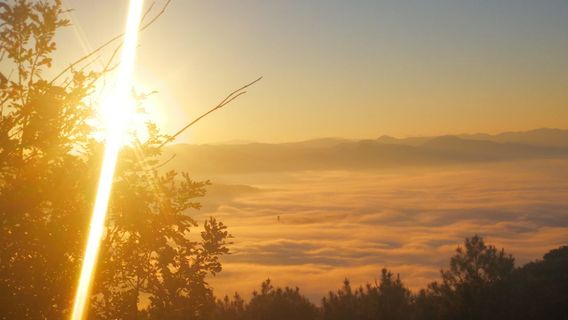 Tianbishan Chengjiao Leisure Park