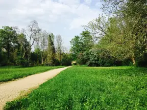 Arboretum Park Simeria