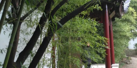 卑南文化公園