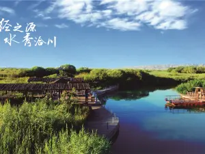 Virgin Spring