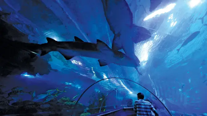 3_Aquaria KLCC