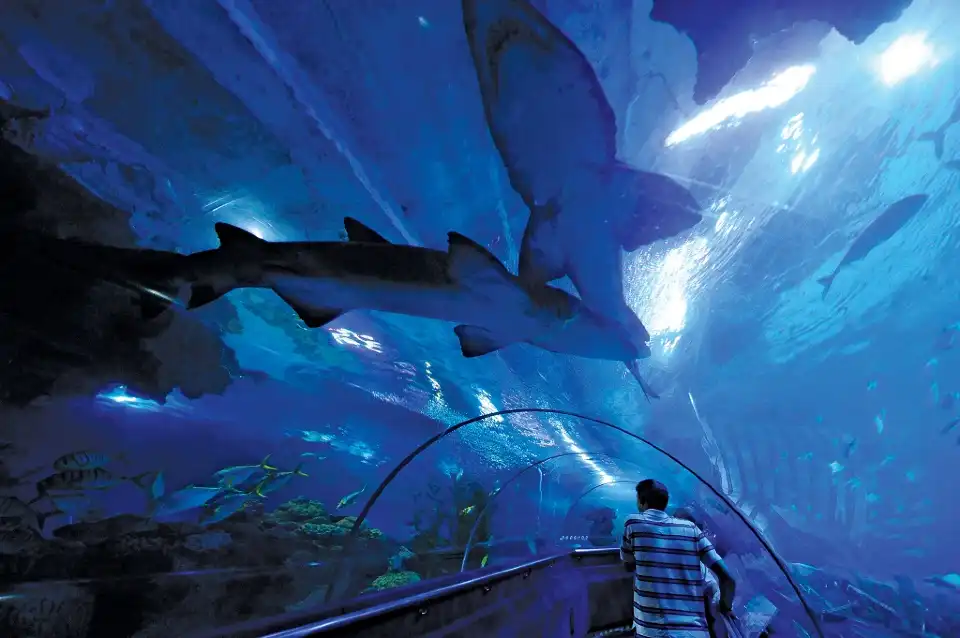 3_Aquaria KLCC