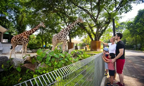 Zoo Negara Malaysia
