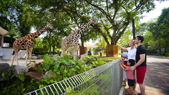 馬來西亞國家動物園