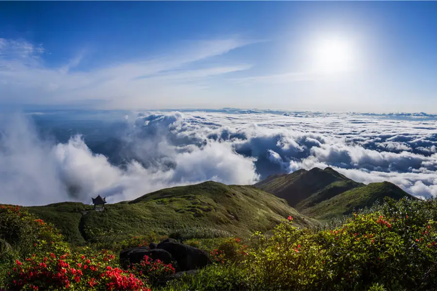 姑婆山