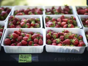 Hawkes Bay Farmers Market