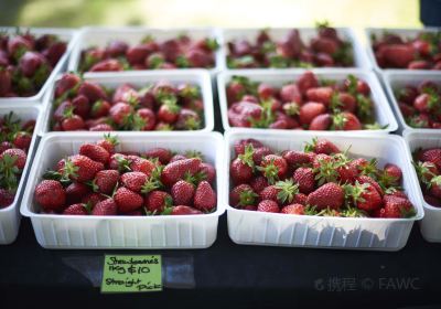 Hawkes Bay Farmers Market