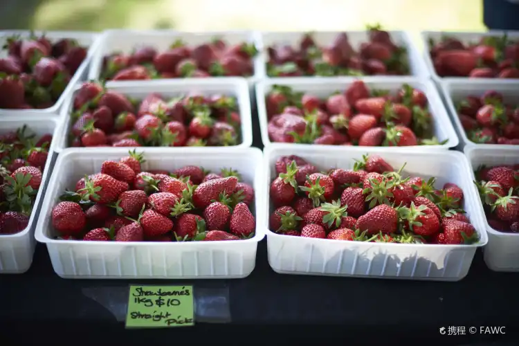 Hotels near Hawkes Bay Farmers Market