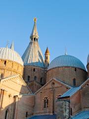 The Basilica of St. Anthony