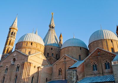 Basilique Saint - Antoine