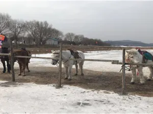 棋盤山冰雪大世界