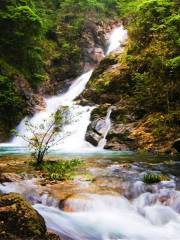 Mount Jiulong (Nine Dragons Mountain) National Forest Park