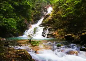 Mount Jiulong (Nine Dragons Mountain) National Forest Park