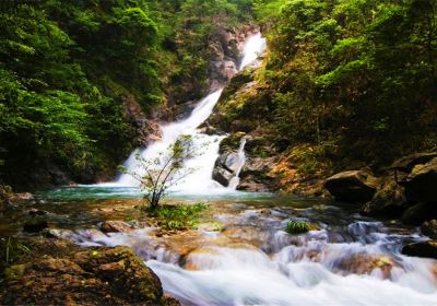 Mount Jiulong (Nine Dragons Mountain) National Forest Park