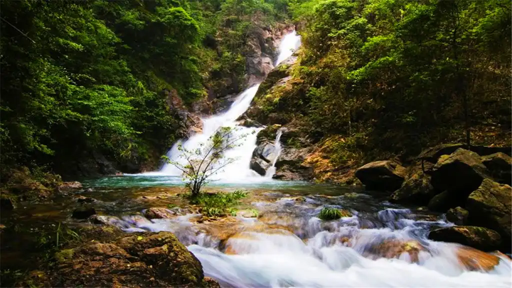 Hotels near Jiulongjiang National Forest Park