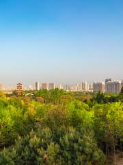 宝鶏市植物園