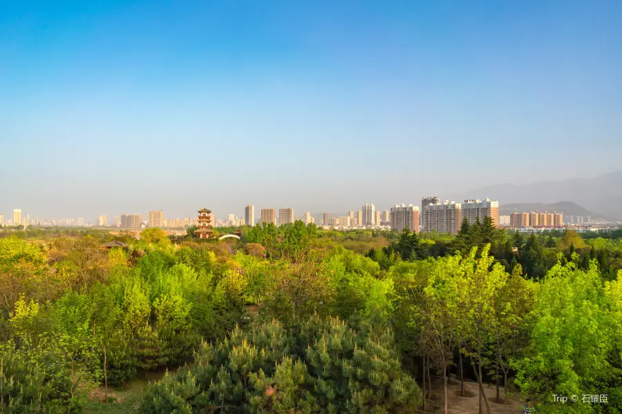 Baoji Botanical Garden