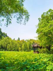 Культурный Туристический район Бао Гуанчжоу