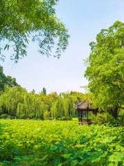 Baoguang Temple and Gui Lake